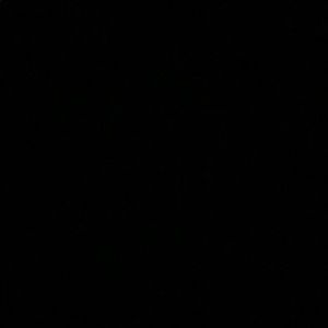 Meet your Posher, Wade